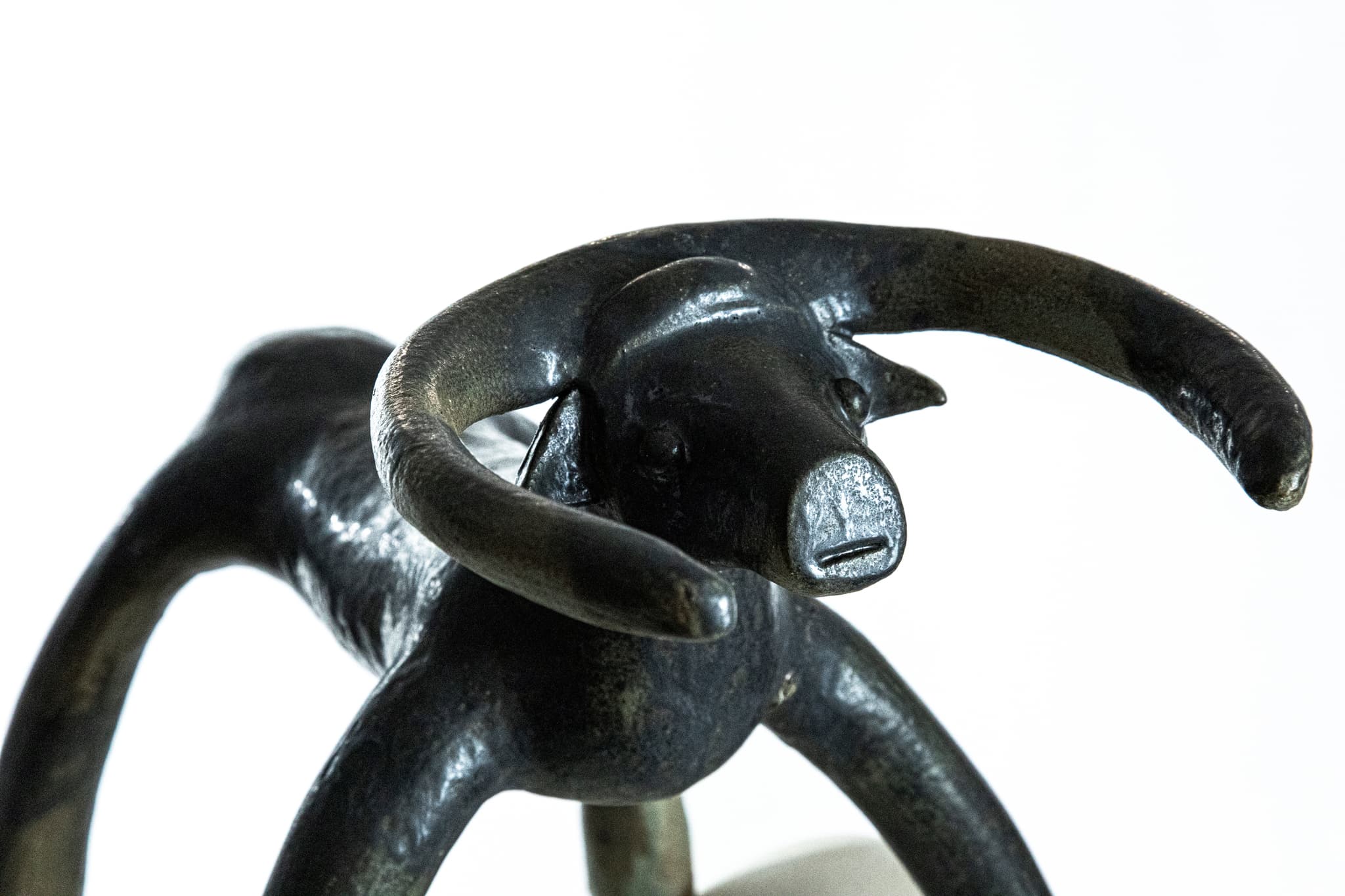 bull